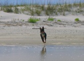 Enlarge photo 27