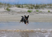 Enlarge photo 29