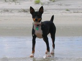 Enlarge photo 24