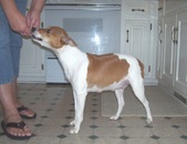 Enlarge photo 123