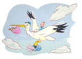 Enlarge photo 131