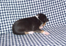 Enlarge photo 57