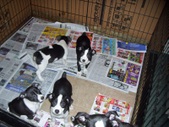 Enlarge photo 27