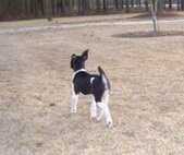 Enlarge photo 9