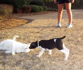 Enlarge photo 13