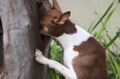 Enlarge photo 179