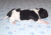 Enlarge photo 42