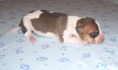 Enlarge photo 47