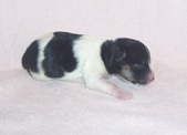 Enlarge photo 33