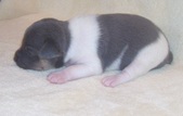 Enlarge photo 31