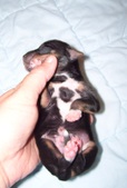 Enlarge photo 146