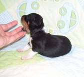 Enlarge photo 108