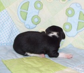 Enlarge photo 107