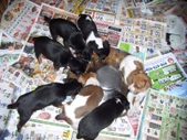 Enlarge photo 22