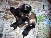 Enlarge photo 23
