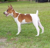 TRESSY/CANYON LITTER---ALL SOLD!