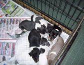 Enlarge photo 19