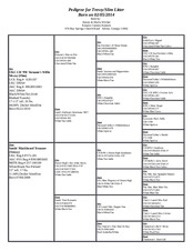 Enlarge Microsoft Word Document 170