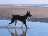 Enlarge photo 162