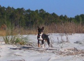 Enlarge photo 167