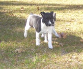 Enlarge photo 21