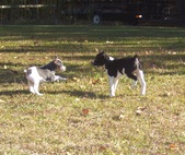 Enlarge photo 29