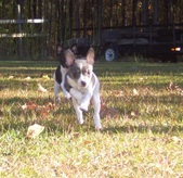 Enlarge photo 8