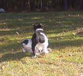 Enlarge photo 33