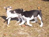 Enlarge photo 34