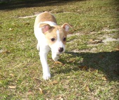Enlarge photo 30