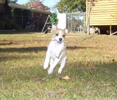 Enlarge photo 54