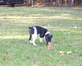 Enlarge photo 56