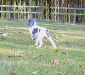 Enlarge photo 13