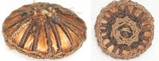 Enlarge photo 36