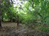 Enlarge photo 27