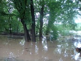 Enlarge photo 30