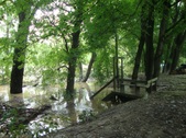 Enlarge photo 26