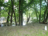 Enlarge photo 33