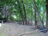 Enlarge photo 35