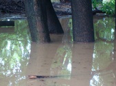 Enlarge photo 44