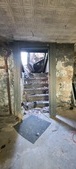 Enlarge photo 67