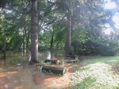 Enlarge photo 28