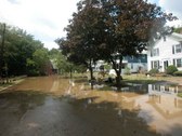 Enlarge photo 30