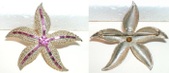 Enlarge photo 122