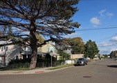 Enlarge photo 54