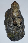 Enlarge photo 345