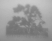 Enlarge photo 219