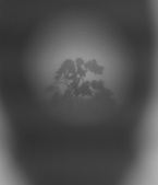 Enlarge photo 220
