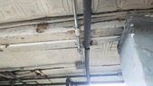 Enlarge photo 54