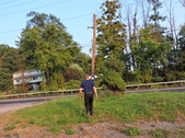 Enlarge photo 7